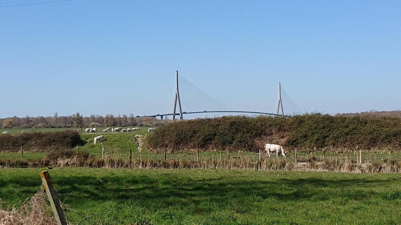 Honfleur Effet Mer 1 المظهر الخارجي الصورة